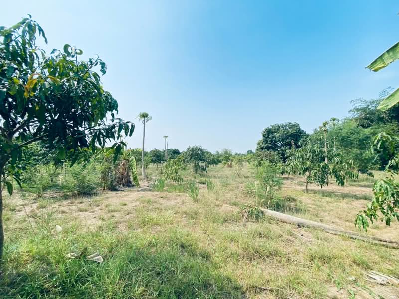 บ้านเดี่ยวพร้อมสวนแก่งกระจาน เพชรบุรี, Phetchaburi, Wang Chan, Kaeng Krachan, Phetchaburi, 1 Bedroom, 120 sqm, Single Detached House For Sale, by The Best Property  แอน, 500260069 - DDproperty.com