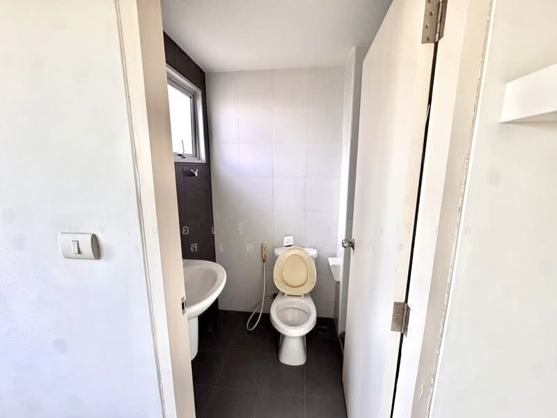 My Condo Sukhumvit 81 : มายคอนโด สุขุมวิท81, กรุงเทพ, ซอยสุขุมวิท 81 ถนนสุขุมวิท, บางจาก, พระโขนง, กรุงเทพ, 25 ตร.ม., คอนโด ขาย, โดย บจ.แอเรีย66 เรียล เอสเตท จำกัด, 500260162 - DDproperty.com