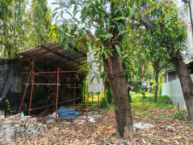 For Sale - ที่ดินบางกรวย นนทบุรี, Nonthaburi