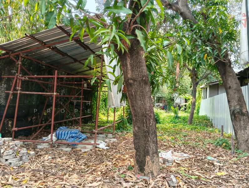 For Sale - ที่ดินบางกรวย นนทบุรี, Nonthaburi