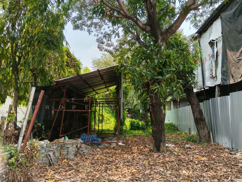 For Sale - ที่ดินบางกรวย นนทบุรี, Nonthaburi