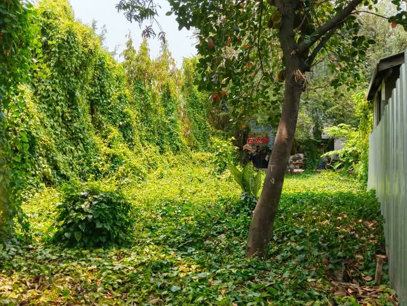 For Sale - ที่ดินบางกรวย นนทบุรี, Nonthaburi