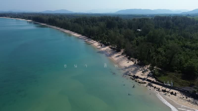 Rare 475m Andaman Beachfront — Immediate Transfer, Prime Investment, Phangnga, Bang Muang, Takua Pa, Phangnga, , 371,500 sqm, Land For Sale, by Tana Sipa, 500260271 - DDproperty.com