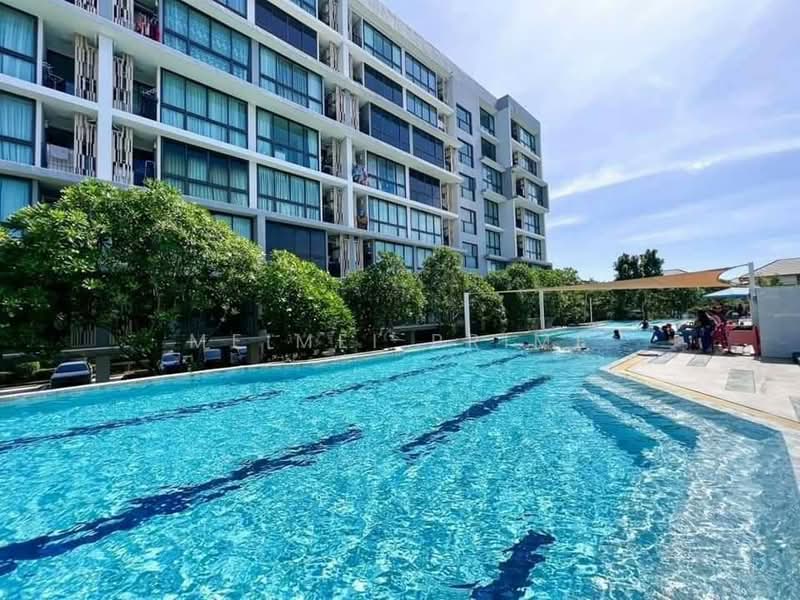 Connext Condominium, Phuket, Wichit, Muang Phuket, Phuket, 1 Bedroom, 31 sqm, Single Detached House For Rent, by MeiMei Prime, 500260323 - DDproperty.com
