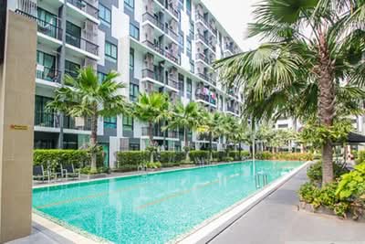 ขาย - iCondo Sukhumvit 105 : ไอคอนโด สุขุมวิท 105, กรุงเทพ