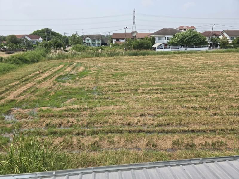 ชัยพฤกษ์1 สุวินทวงศ์-คุ้มเกล้า, Bangkok, คุ้มเกล้า7, Lam Pla Tiew, Lat Krabang, Bangkok, 4 Bedrooms, 200 sqm, Single Detached House For Sale, by นภัสศรณ์ วงศ์สินไทยกร (นันท์), 500260479 - DDproperty.com