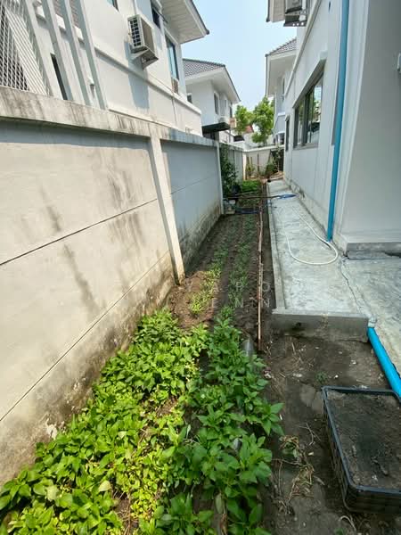 Perfect Place Sukhumvit 77-Suvarnabhumi : เพอร์เฟค เพลส สุขุมวิท77-สุวรรณภูมิ, สมุทรปราการ, ถนนลาดกระบัง, ราชาเทวะ, บางพลี, สมุทรปราการ, 300 ตร.ม., บ้านเดี่ยว ให้เช่า, โดย Tittayaporn Kim (Jenny), 500260507 - DDproperty.com