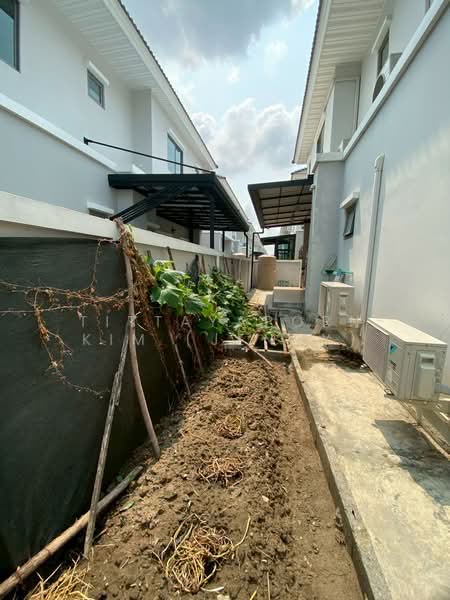 Perfect Place Sukhumvit 77-Suvarnabhumi, Samut Prakan, Lat Krabang Road, Rachathewa, Bang Plee, Samut Prakan, 5 Bedrooms, 300 sqm, Single Detached House For Rent, by Tittayaporn Kim (Jenny), 500260507 - DDproperty.com