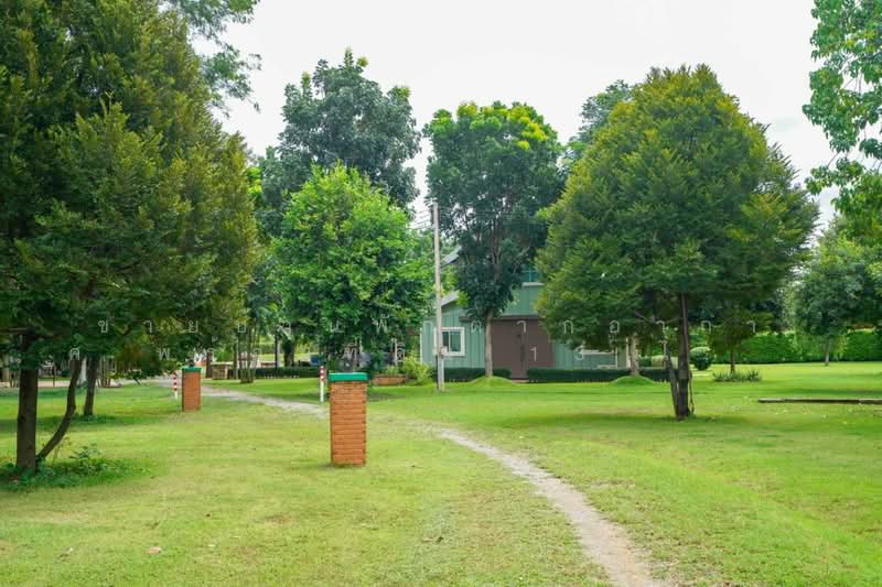 ขายบ้านพักตากอากาศ พร้อมที่ดิน 13 ไร่ โพธาราม ราชบุรี | อยู่เองก็ได้ ทำ Event คาเฟ่ หรือ Retreat ได้, ราชบุรี, บางโตนด, โพธาราม, ราชบุรี, 260 ตร.ม., บ้านเดี่ยว ขาย, โดย คุณเอ็มมี่, 500260529 - DDproperty.com