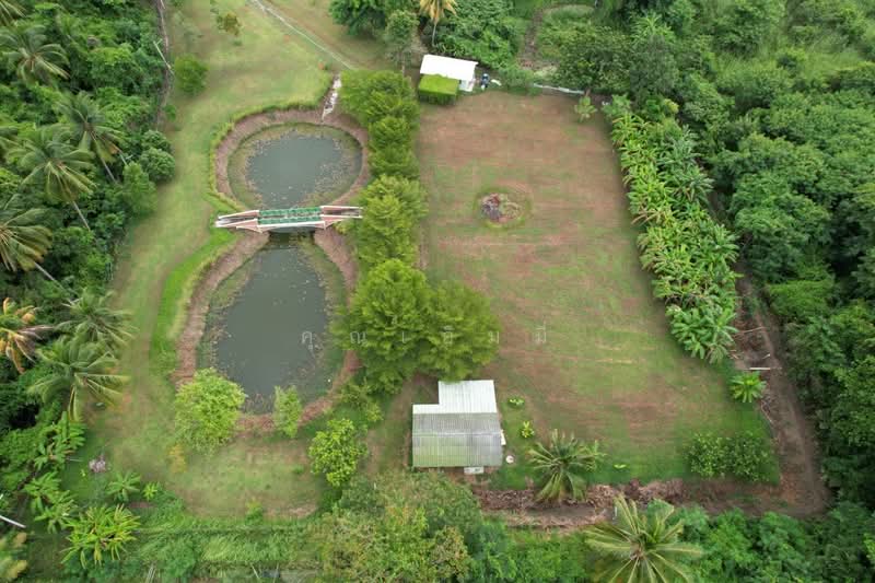 ขายบ้านพักตากอากาศ พร้อมที่ดิน 13 ไร่ โพธาราม ราชบุรี | อยู่เองก็ได้ ทำ Event คาเฟ่ หรือ Retreat ได้, ราชบุรี, บางโตนด, โพธาราม, ราชบุรี, 260 ตร.ม., บ้านเดี่ยว ขาย, โดย คุณเอ็มมี่, 500260529 - DDproperty.com