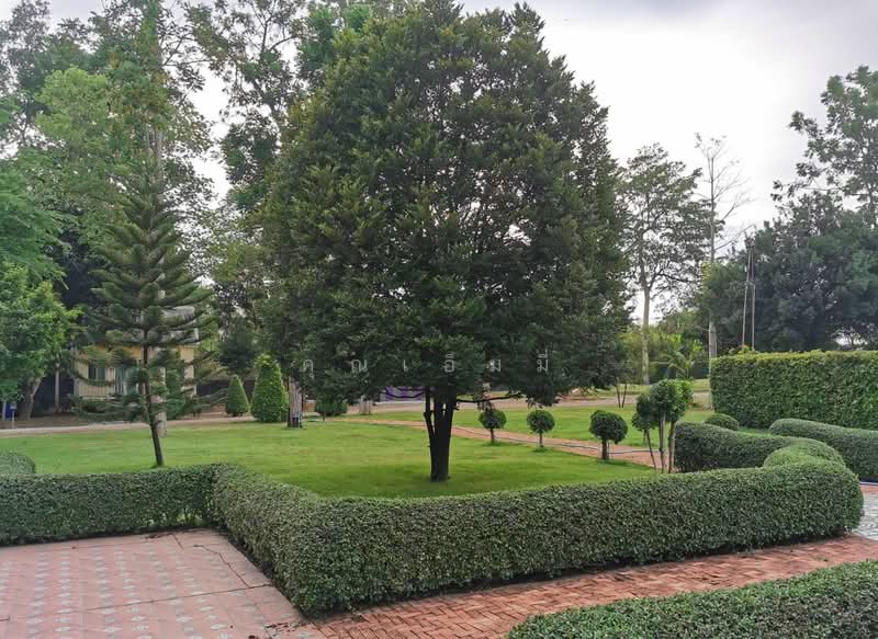 13-Rai Vacation Home with Land for Sale in Photharam, Ratchaburi, Ratchaburi, Bang Tanot, Photharam, Ratchaburi, Studio, 260 sqm, Single Detached House For Sale, by คุณเอ็มมี่, 500260529 - DDproperty.com