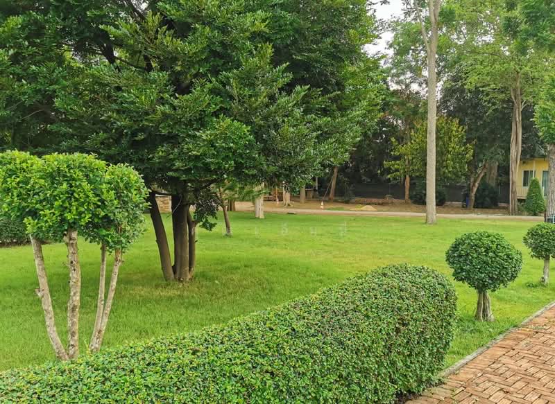 ขายบ้านพักตากอากาศ พร้อมที่ดิน 13 ไร่ โพธาราม ราชบุรี | อยู่เองก็ได้ ทำ Event คาเฟ่ หรือ Retreat ได้, ราชบุรี, บางโตนด, โพธาราม, ราชบุรี, 260 ตร.ม., บ้านเดี่ยว ขาย, โดย คุณเอ็มมี่, 500260529 - DDproperty.com