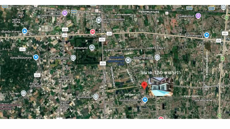 ขายบ้านเดี่ยว บางแวก–ทวีวัฒนา พื้นที่ 150 ตร.วา บ้านสไตล์รีสอร์ท พร้อมสระว่ายน้ำและสวนส่วนตัว, กรุงเทพ, บางไผ่, บางแค, กรุงเทพ, 250 ตร.ม., บ้านเดี่ยว ขาย, โดย คุณเอ็มมี่, 500260563 - DDproperty.com
