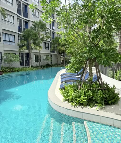 DCondo Reef, Phuket, 78 Soi Dara, Kathu, Kathu, Phuket, 1 Bedroom, 34 sqm, Condo For Rent, by Napasawan Chongprasert, 500260571 - DDproperty.com