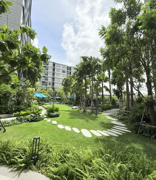 DCondo Reef, Phuket, 78 Soi Dara, Kathu, Kathu, Phuket, 1 Bedroom, 34 sqm, Condo For Rent, by Napasawan Chongprasert, 500260571 - DDproperty.com
