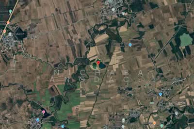 ขาย - พิมาย โคราช, นครราชสีมา