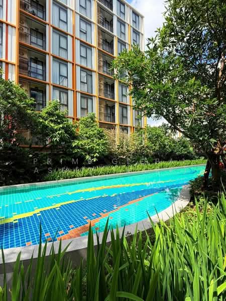 The Base Rise, ภูเก็ต, วิชิต, เมืองภูเก็ต, ภูเก็ต, 32 ตร.ม., คอนโด ให้เช่า, โดย Prime Global Asset (Mark), 500260617 - DDproperty.com
