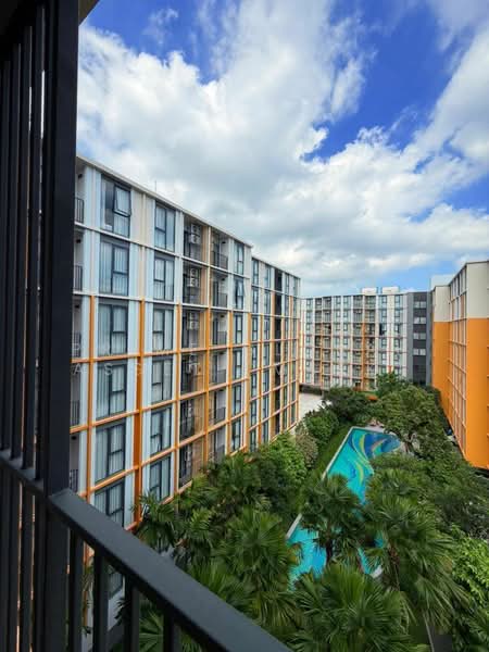 The Base Rise, ภูเก็ต, วิชิต, เมืองภูเก็ต, ภูเก็ต, 32 ตร.ม., คอนโด ให้เช่า, โดย Prime Global Asset (Mark), 500260617 - DDproperty.com