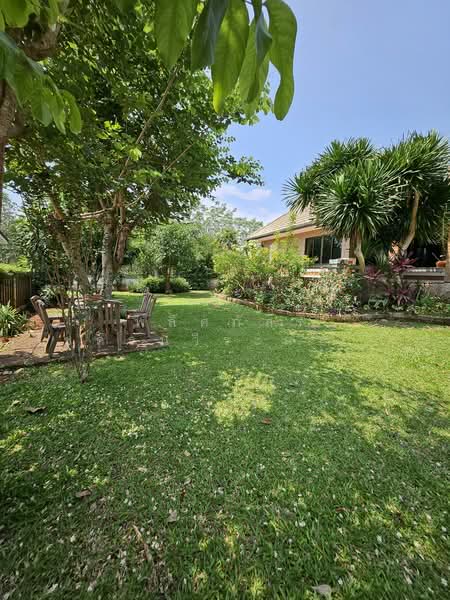 For Rent - พาลาไดร์หมูสี, Nakhon Ratchasima