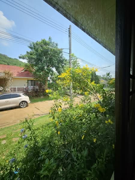For Rent - พาลาไดร์หมูสี, Nakhon Ratchasima