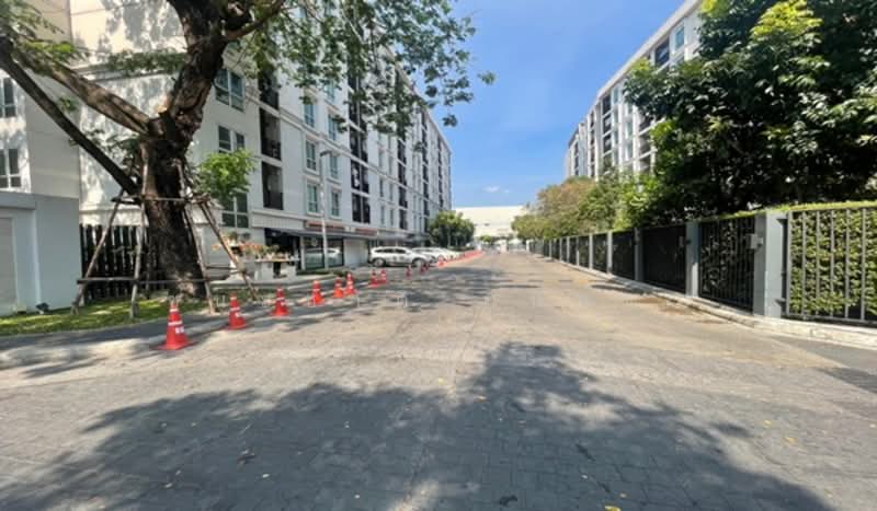 Plum Condo Chaengwattana Station, Bangkok, Chaeng Watthana Rd, Talat Bang Khen, Lak Si, Bangkok, 1 Bedroom, 24 sqm, Condo For Sale, by ชนะชาติ นนท์ตา, 500260668 - DDproperty.com