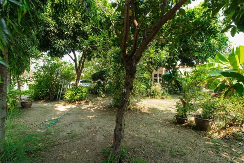 บ้านพร้อมที่ดิน ถ.อุทยาน ซ.อุทยาน 11 แขวงศาลาธรรมสพน์ เขตทวีวัฒนา จ.กรุงเทพมหานคร 10170, กรุงเทพ, ศาลาธรรมสพน์, ทวีวัฒนา, กรุงเทพ, 196 ตร.ม., บ้านเดี่ยว ขาย, โดย คุณปราณี ศรีบุญรอด (หน่อย), 500260700 - DDproperty.com