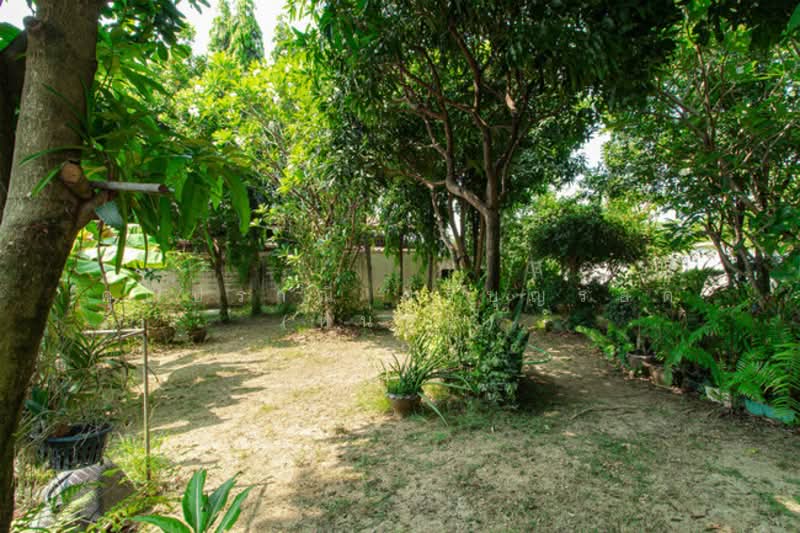 บ้านพร้อมที่ดิน ถ.อุทยาน ซ.อุทยาน 11 แขวงศาลาธรรมสพน์ เขตทวีวัฒนา จ.กรุงเทพมหานคร 10170, Bangkok, Sala Thammasop, Thawi Watthana, Bangkok, 4 Bedrooms, 196 sqm, Single Detached House For Sale, by คุณปราณี ศรีบุญรอด (หน่อย), 500260700 - DDproperty.com