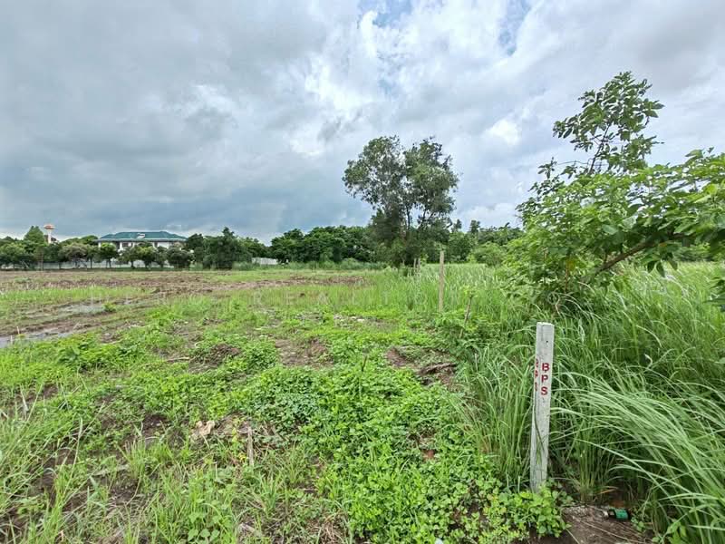 Land for sale 5 rai 83 sq.wa. Khlong Sam, Khlong Luang, Pathum Thani HRE00414, Pathum Thani, Khlong Sam, Khlong Luang, Pathum Thani, , 8,332 sqm, Land For Sale, by Hero Realtor Co., Ltd., 500260853 - DDproperty.com