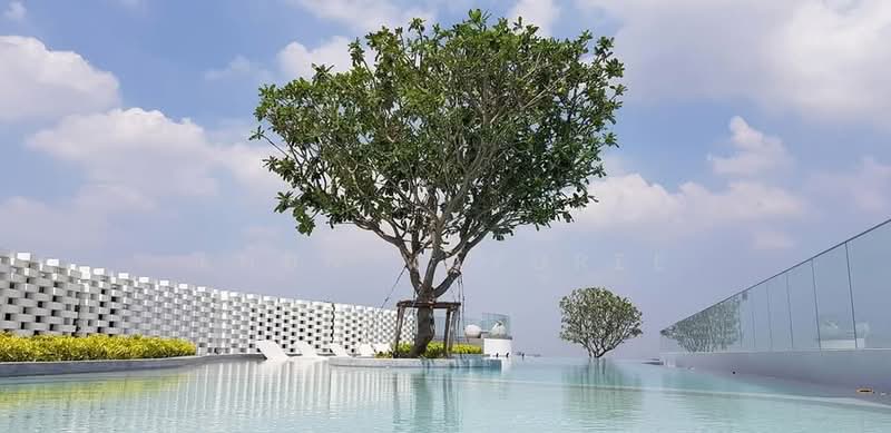 The Tree Sukhumvit 71-Ekamai : เดอะทรี สุขุมวิท 71 – เอกมัย, กรุงเทพ, 1269 ถ. สุขุมวิท 71, สวนหลวง, สวนหลวง, กรุงเทพ, 29 ตร.ม., คอนโด ให้เช่า, โดย Khun Mayuree, 500260866 - DDproperty.com