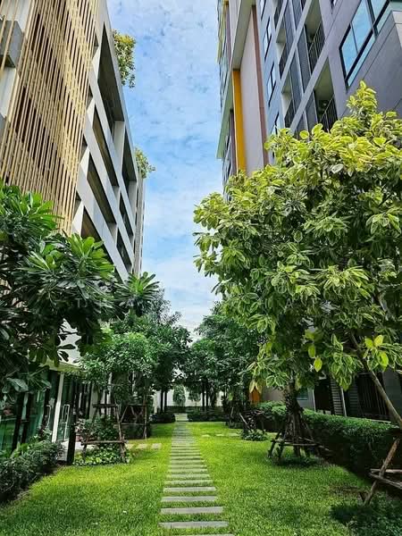 The Sky Sukhumvit, Bangkok, 103-4 Sukhumvit Road, Bang Na Nuea, Bang Na, Bangkok, 1 Bedroom, 33 sqm, Condo For Rent, by Banjarat Thanomchat, 500260885 - DDproperty.com