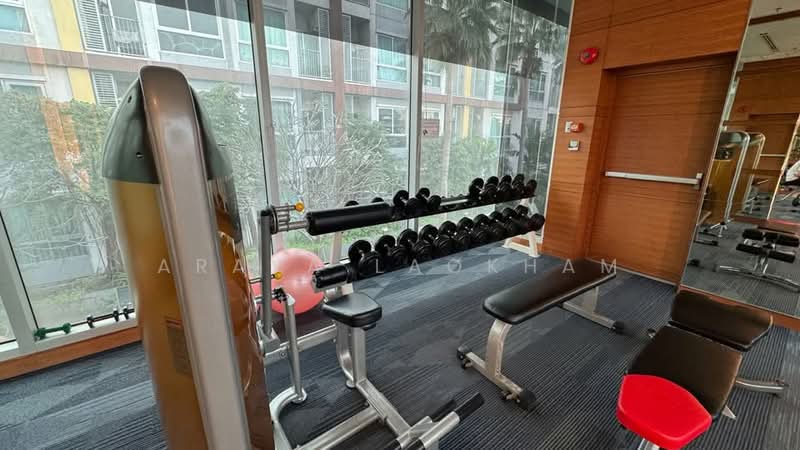 Casa Condo Ratchada-Ratchaphruek : คาซ่า คอนโด รัชดา-ราชพฤกษ์, กรุงเทพ, ถนนราชพฤกษ์, ดาวคะนอง, ธนบุรี, กรุงเทพ, 35 ตร.ม., คอนโด ขาย, โดย Araya Laokham, 500261318 - DDproperty.com