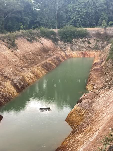 Land for sale with durian and rubber plantation, 19 rai, Soi Wat Kong Din,, Rayong, Kong Din, Klaeng, Rayong, , 31,904 sqm, Land For Sale, by richwellinter, 500261433 - DDproperty.com