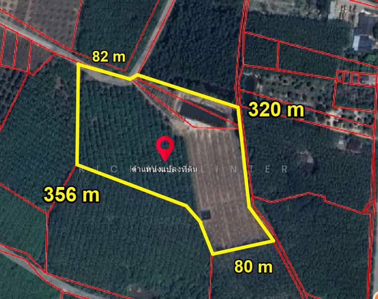 Land for sale with durian and rubber plantation, 19 rai, Soi Wat Kong Din,, Rayong, Kong Din, Klaeng, Rayong, , 31,904 sqm, Land For Sale, by richwellinter, 500261433 - DDproperty.com