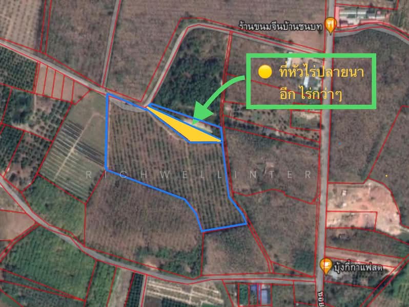 Land for sale with durian and rubber plantation, 19 rai, Soi Wat Kong Din,, Rayong, Kong Din, Klaeng, Rayong, , 31,904 sqm, Land For Sale, by richwellinter, 500261433 - DDproperty.com