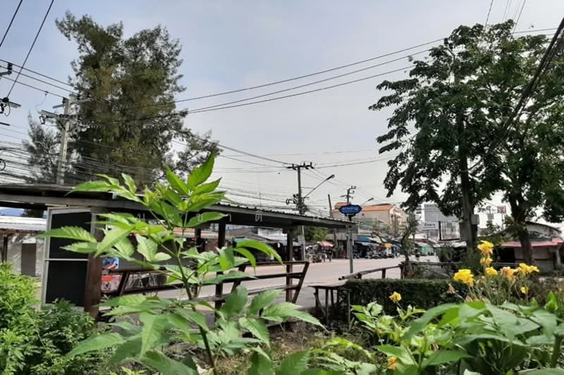 The willow Townhome, Bangkok, Bang Chun, Khlong Sam Wa, Bangkok, 3 Bedrooms, 70 sqm, Townhouse For Sale, by ชนะชาติ นนท์ตา, 500261447 - DDproperty.com