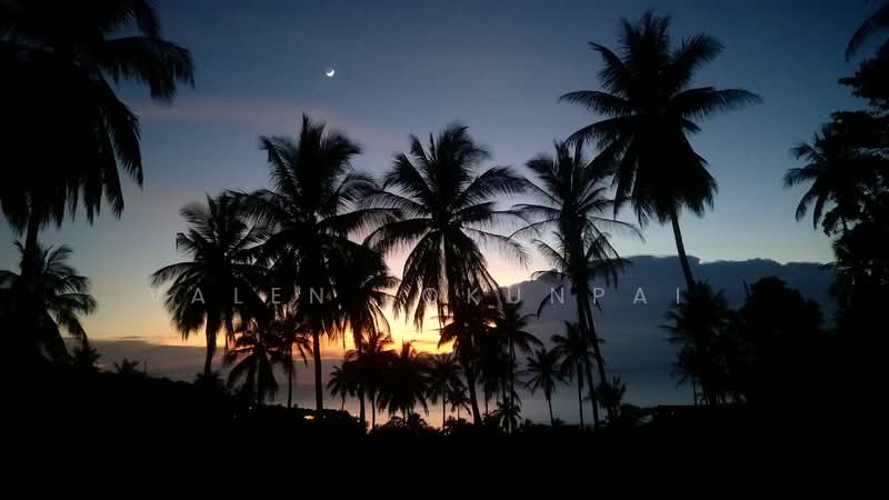 undefined, สุราษฎร์ธานี, เกาะพะงัน, เกาะพะงัน, สุราษฎร์ธานี, 250 ตร.ม., วิลล่า ขาย, โดย Valen Lokunpai , 500261553 - DDproperty.com