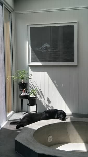 undefined, สุราษฎร์ธานี, เกาะพะงัน, เกาะพะงัน, สุราษฎร์ธานี, 142 ตร.ม., วิลล่า ขาย, โดย Valen Lokunpai , 500261561 - DDproperty.com