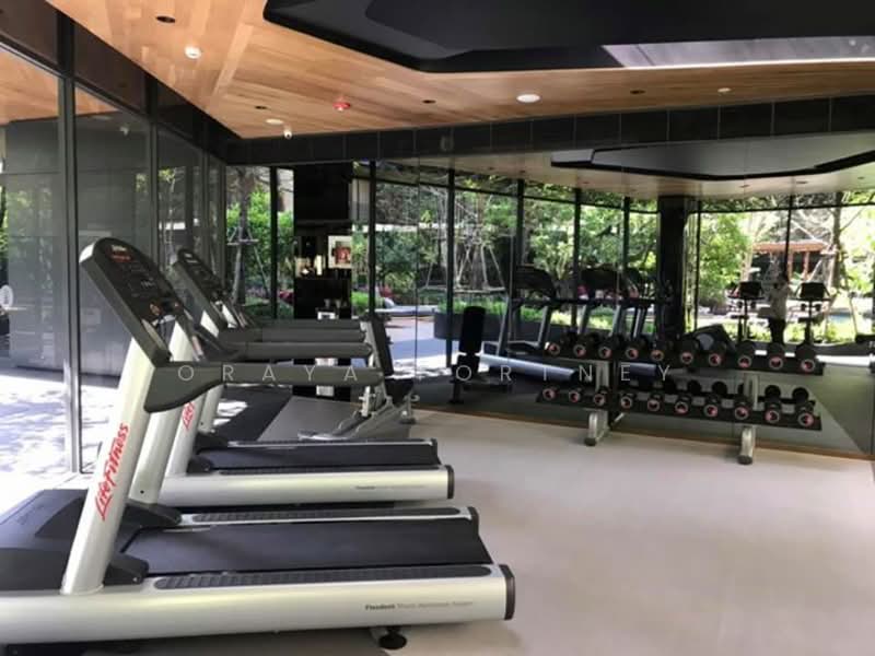 Mori Haus, Bangkok, Soi On Nut 1/1 Sukhumvit Road77, Phra Kanong Nua, Watthana, Bangkok, 1 Bedroom, 34 sqm, Condo For Rent, by Oraya Fortney, 500261765 - DDproperty.com