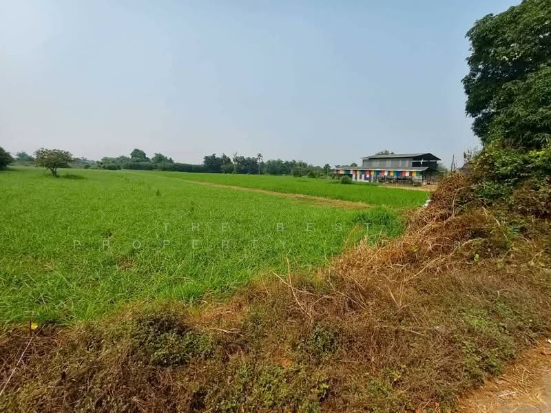 ที่ดินบ้านโป่ง ราชบุรี, Ratchaburi, Don Krabuang, Ban Pong, Ratchaburi, , 16,252 sqm, Land For Sale, by The Best Property  น้ำตาล, 500261798 - DDproperty.com