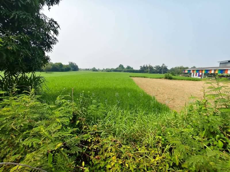 ที่ดินบ้านโป่ง ราชบุรี, ราชบุรี, ดอนกระเบื้อง, บ้านโป่ง, ราชบุรี, 16,252 ตร.ม., ที่ดิน ขาย, โดย The Best Property  น้ำตาล, 500261798 - DDproperty.com