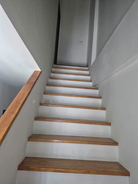 Cozy @ Ladprao 41, Bangkok, 99-17 Soi Lat Phrao 41 Yak 6-7, Chan Kasem, Chatuchak, Bangkok, 3 Bedrooms, 190 sqm, Townhouse For Rent, by Agent Pla, 500261978 - DDproperty.com