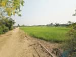 ที่ดินสามง่าม พิจิตร, พิจิตร