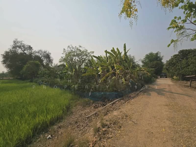 For Sale - ที่ดินสามง่าม พิจิตร, Phichit