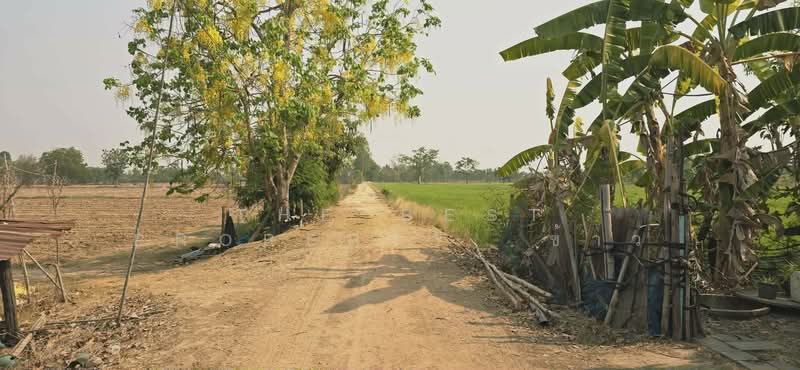 For Sale - ที่ดินสามง่าม พิจิตร, Phichit