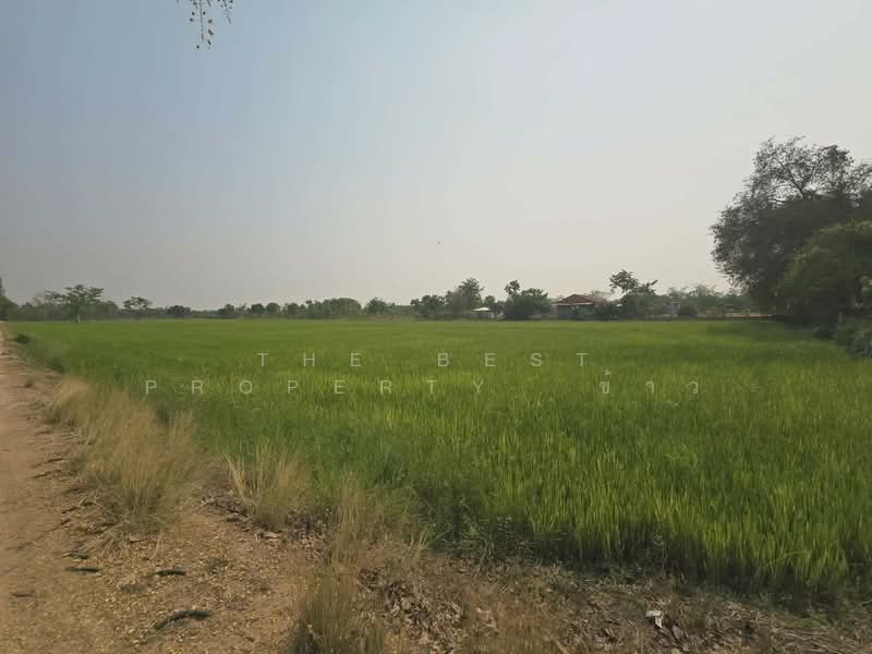 For Sale - ที่ดินสามง่าม พิจิตร, Phichit