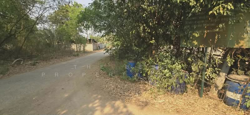For Sale - ที่ดินสามง่าม พิจิตร, Phichit