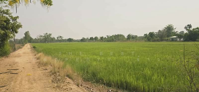 ที่ดินสามง่าม พิจิตร, พิจิตร, เนินปอ, สามง่าม, พิจิตร, 29,300 ตร.ม., ที่ดิน ขาย, โดย The Best Property  ข้าว, 500262121 - DDproperty.com