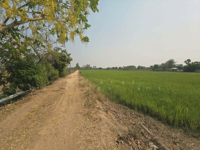 For Sale - ที่ดินสามง่าม พิจิตร, Phichit
