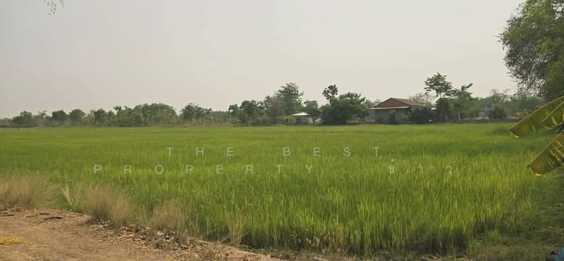 For Sale - ที่ดินสามง่าม พิจิตร, Phichit