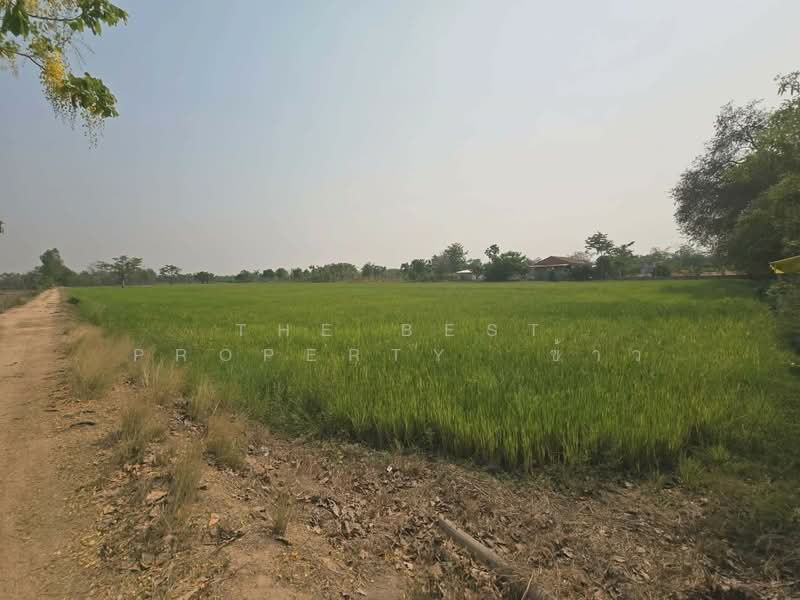 ที่ดินสามง่าม พิจิตร, พิจิตร, เนินปอ, สามง่าม, พิจิตร, 29,300 ตร.ม., ที่ดิน ขาย, โดย The Best Property  ข้าว, 500262121 - DDproperty.com
